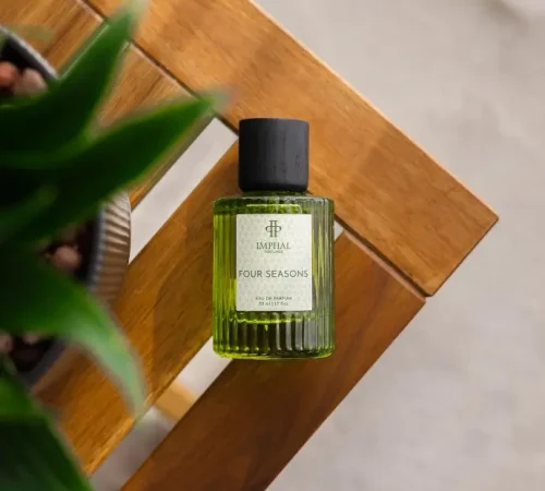 WhatsApp Image 2025-08-19 at 2.08.25 PM